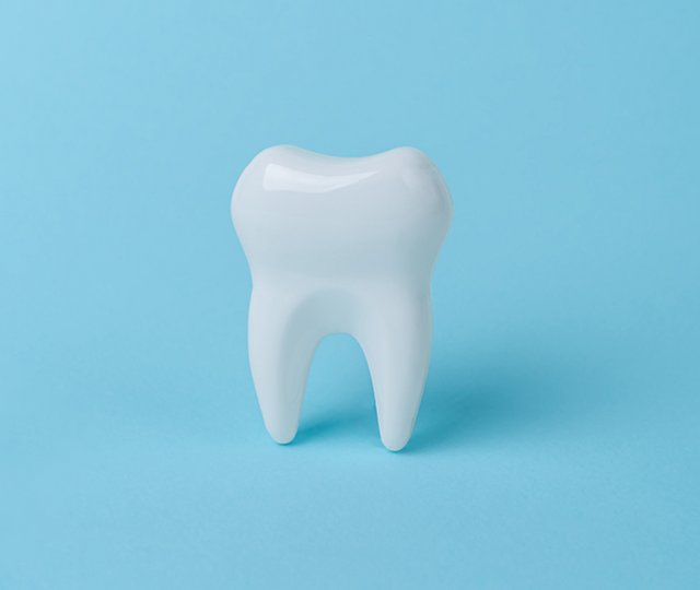 Das Bild zeigt einen einzelnen Zahn als Modell vor blauem Hintergrund