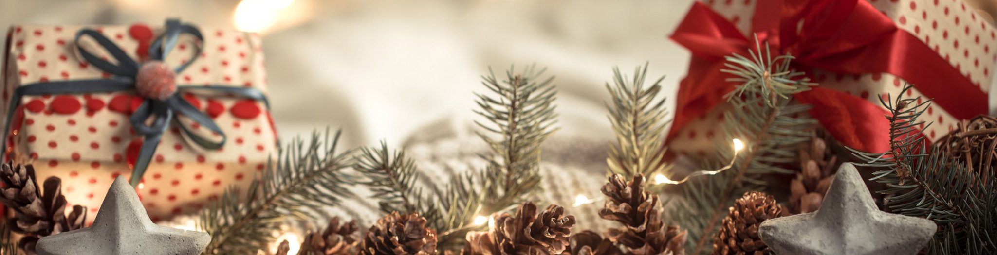 Dieses Bild zeigt Geschenke und Tannenzweige