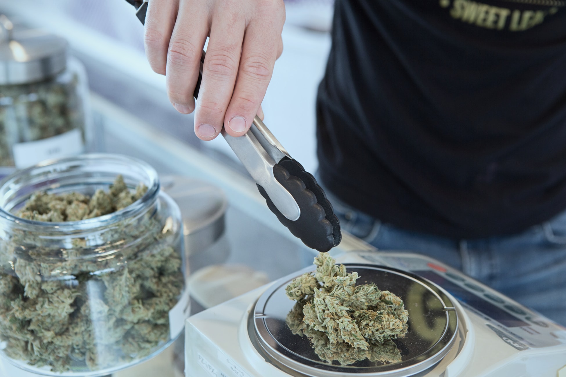 Das Bild zeigt ein Glas gefüllt mit Cannabis und eine Waage, auf der es abgewogen wird