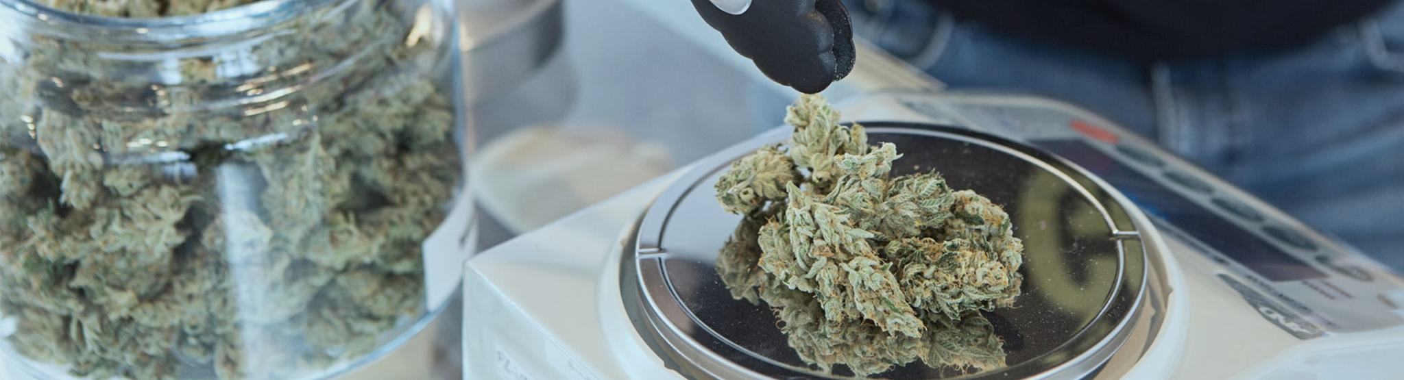 Das Bild zeigt das Abwiegen von Cannabis