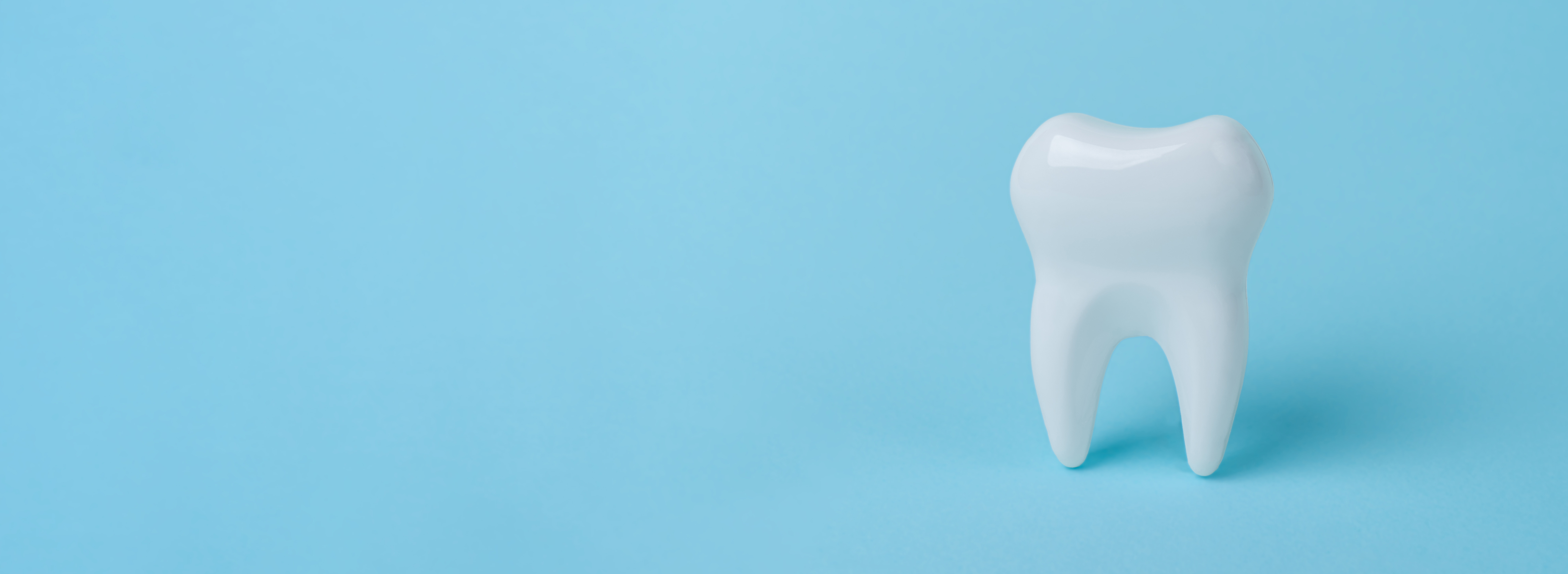 Das Bild zeigt einen einzelnen Zahn als Modell vor blauem Hintergrund